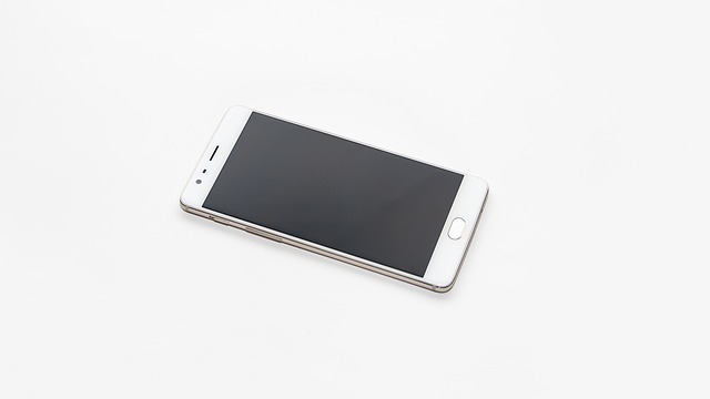 mobilní telefon